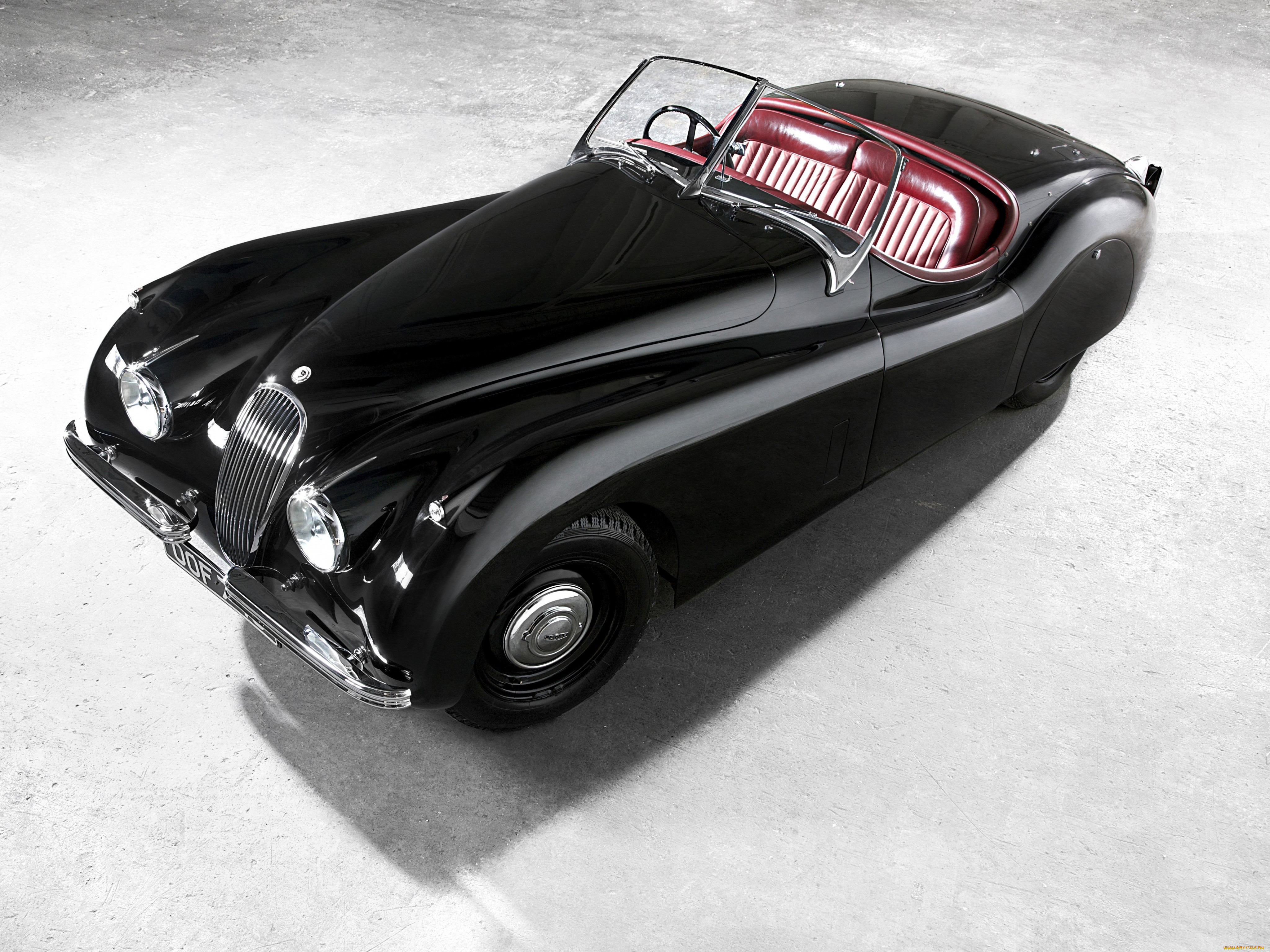 , jaguar